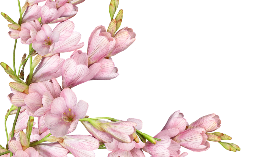 картичка с цветя